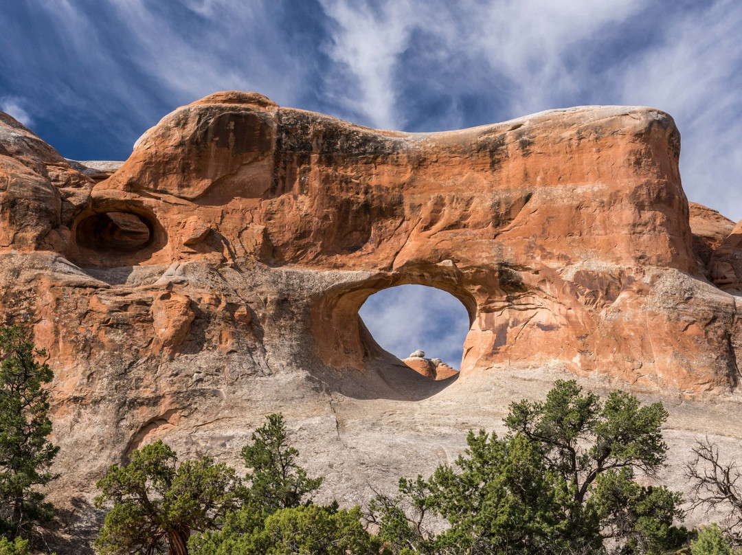 Pine Tree Arch Trail