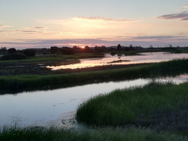 Greenfields Wetlands景点图片