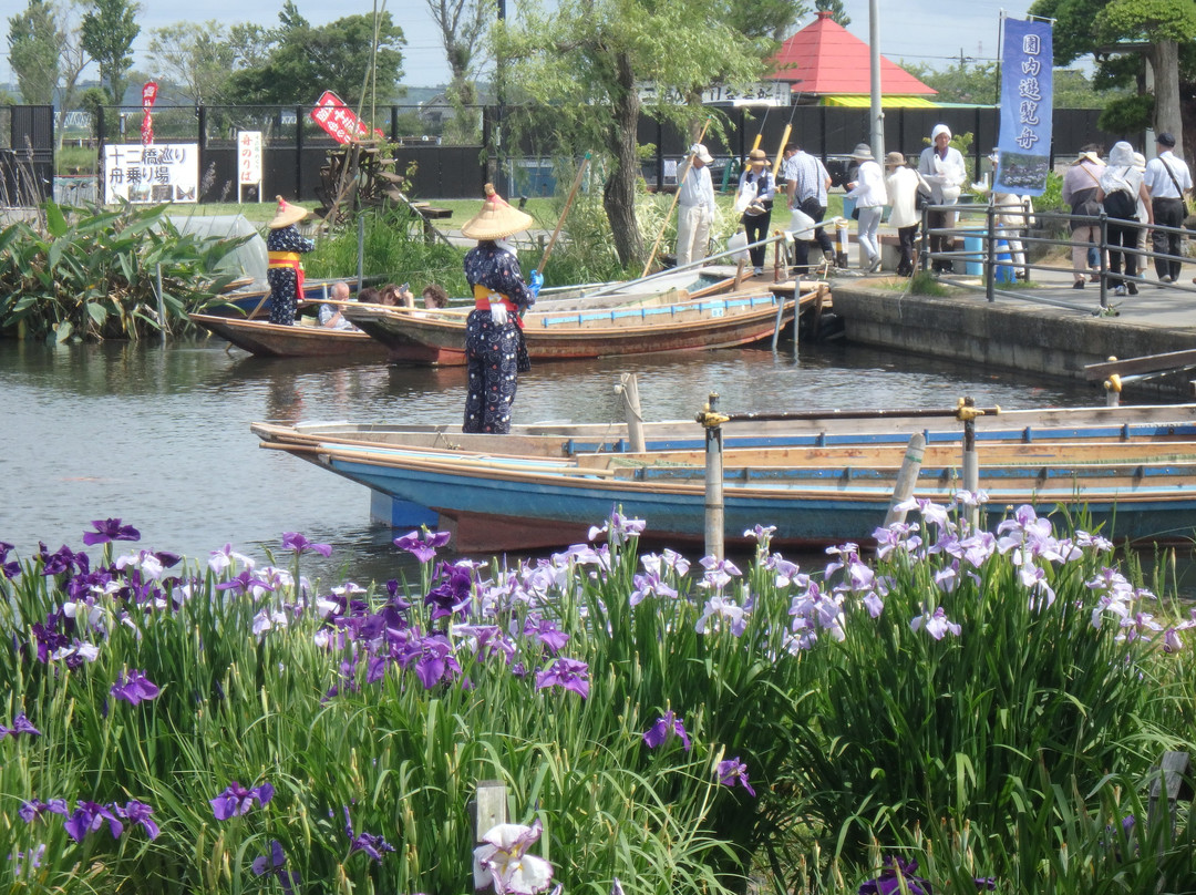 Suigo Sawara Ayame Park景点图片