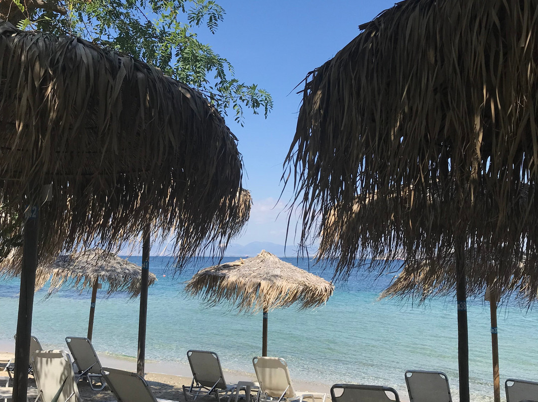 Tarsanas Luxurious Studios & Suites主图