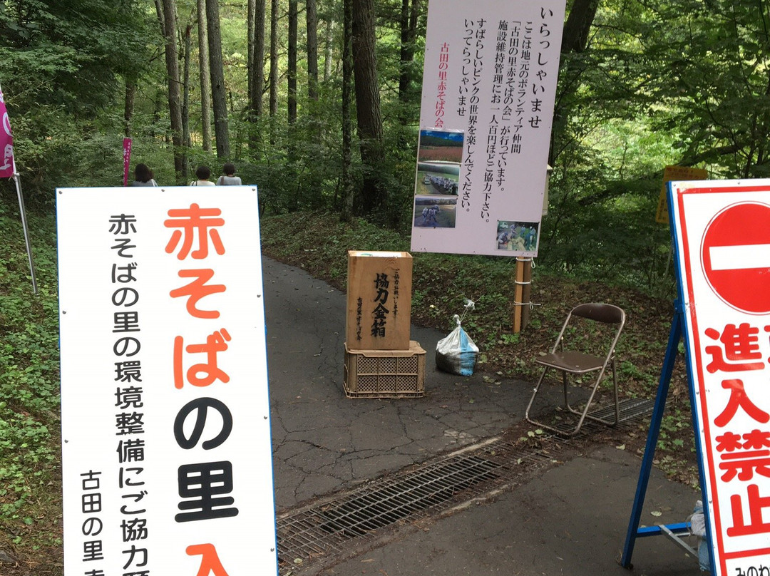 Akasoba no Sato-箕轮町必去景点