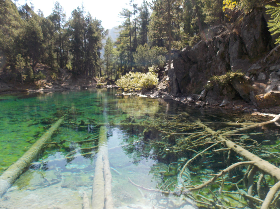 Green Lake景点图片