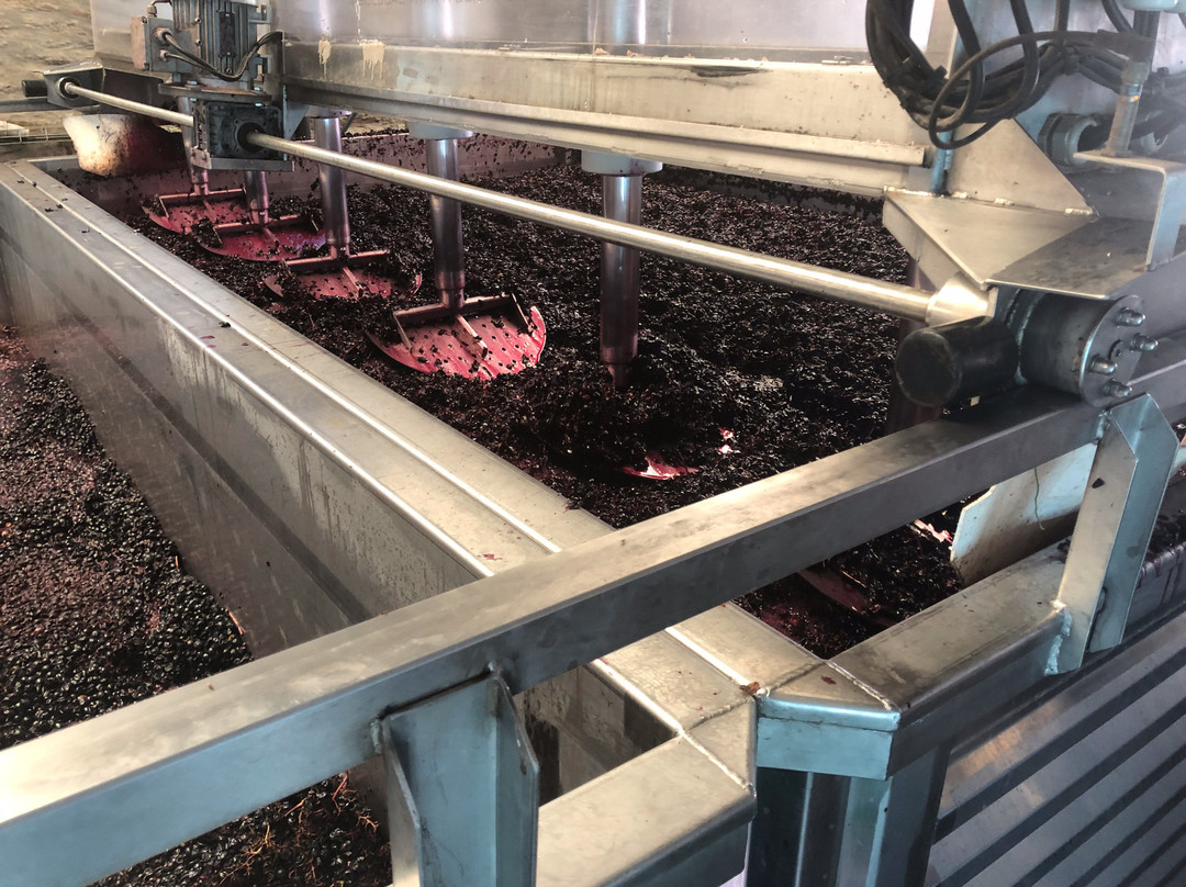 Quinta do Infantado-Vila Real必去景点