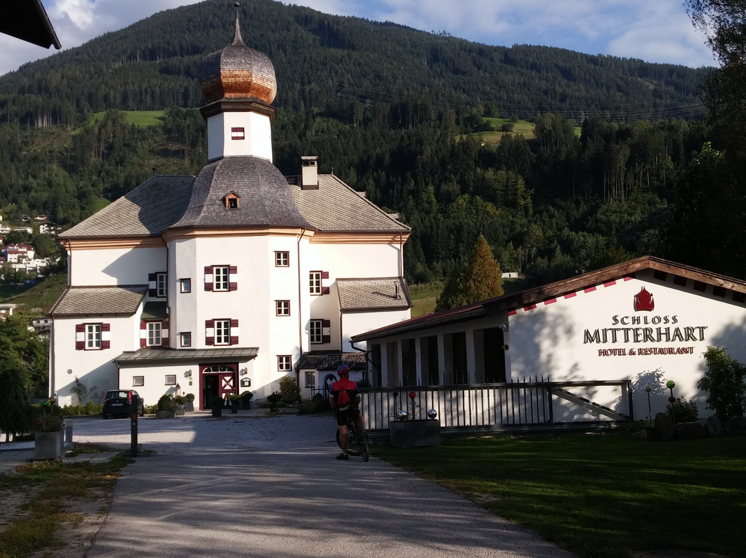 Schwaz酒店住宿-Schloss Mitterhart