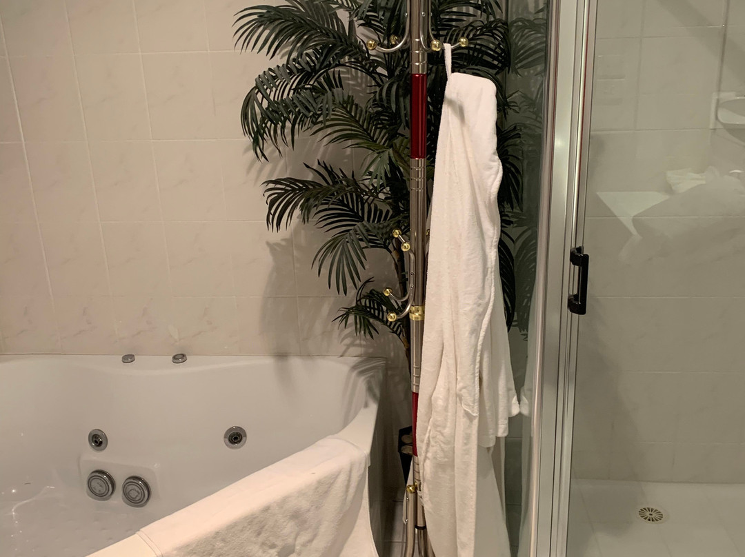 博米树酒店主图