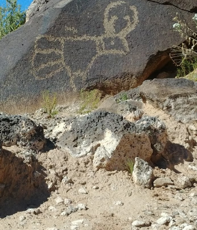 Petroglyph National Monument景点图片