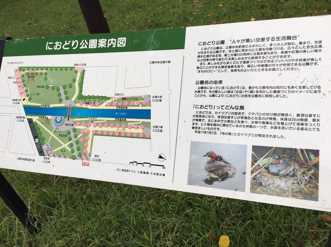 Niodori Park-三乡市必去景点