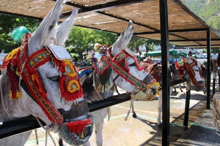 APARTRIP TRAVELS-马拉加必去景点