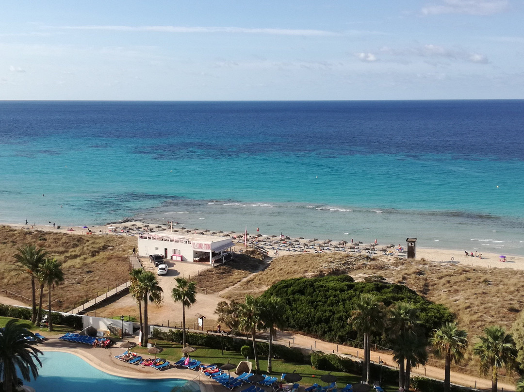 Sol Milanos Pinguinos主图