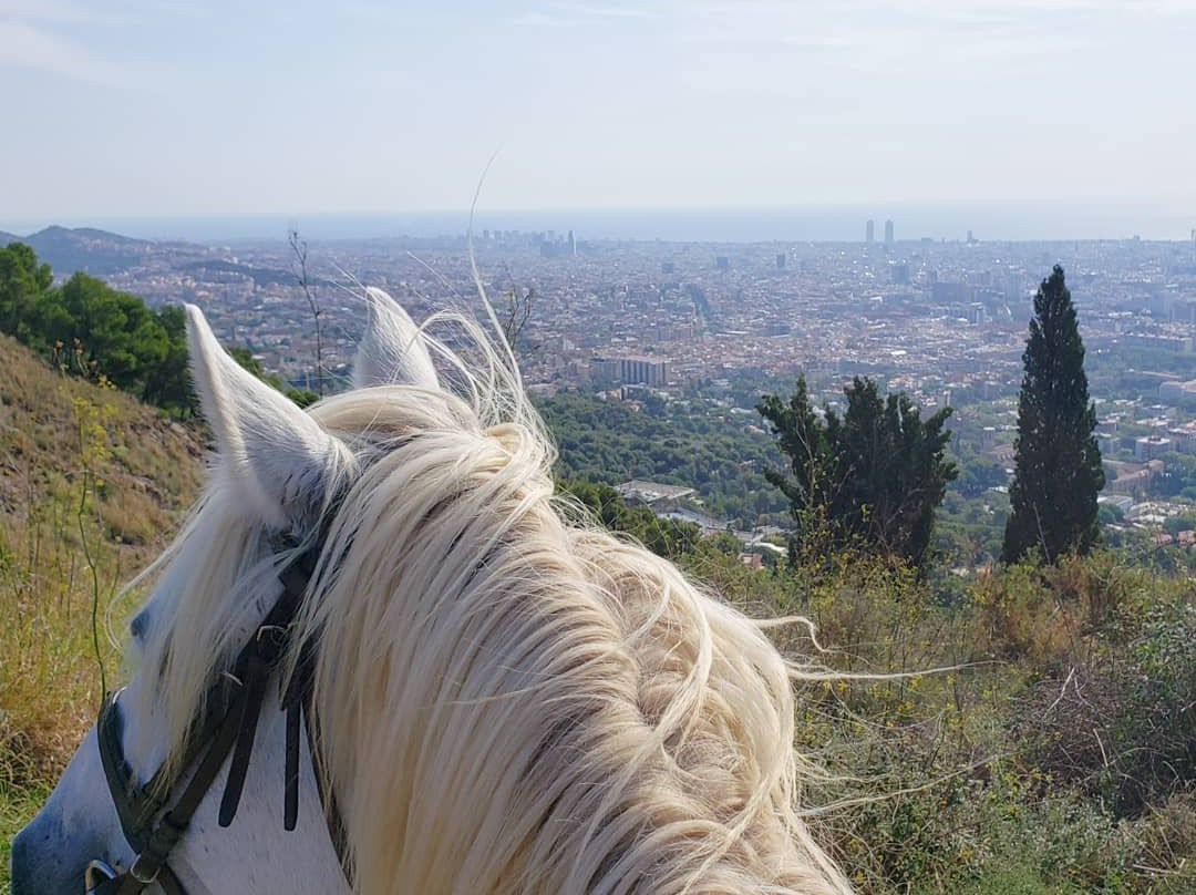 Barcelona Horse Tours景点图片