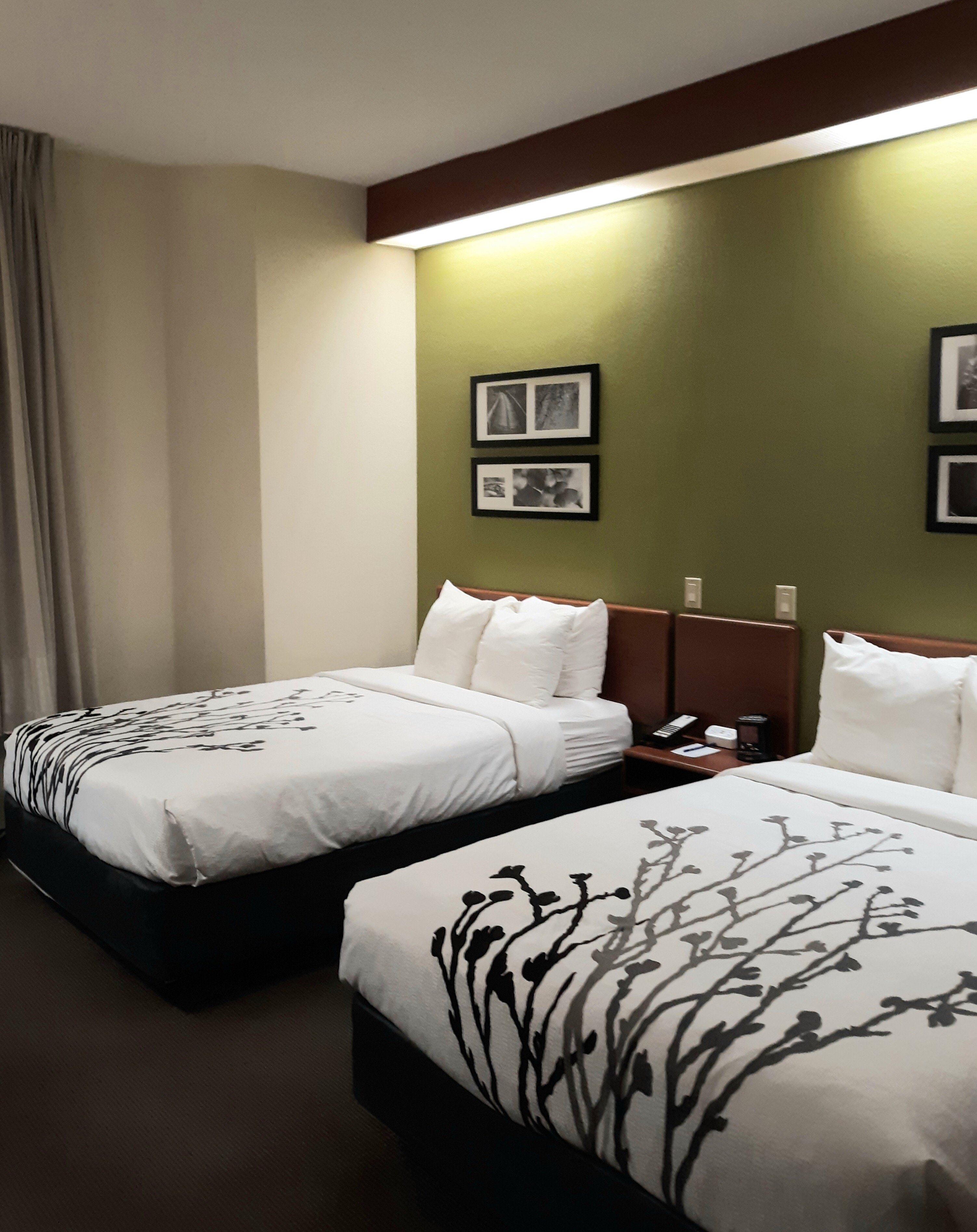 Sleep Inn Murfreesboro-浴室
