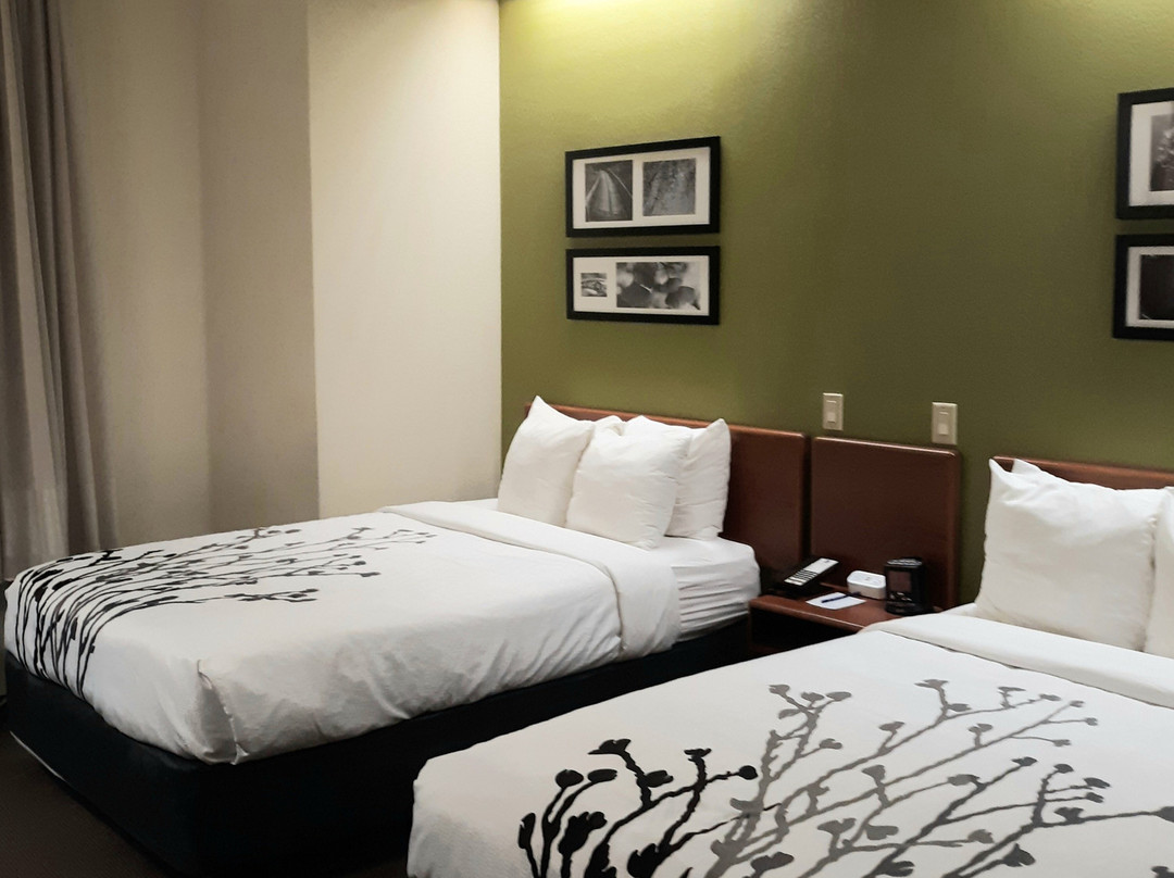 Sleep Inn Murfreesboro主图