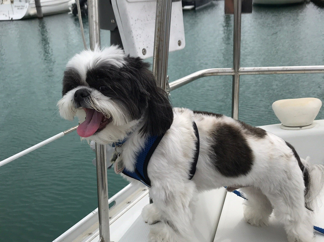 Crandon Park Marina-比斯坎湾必去景点