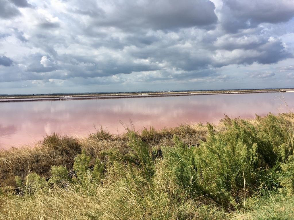 Hotel Belvedere主图