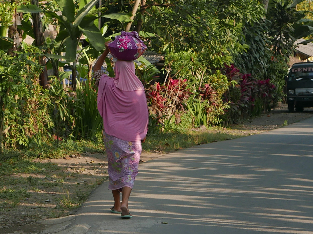 Tetebatu Tour Guide-Tetebatu必去景点