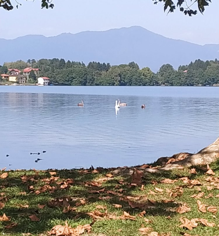 Lago di Monate景点图片