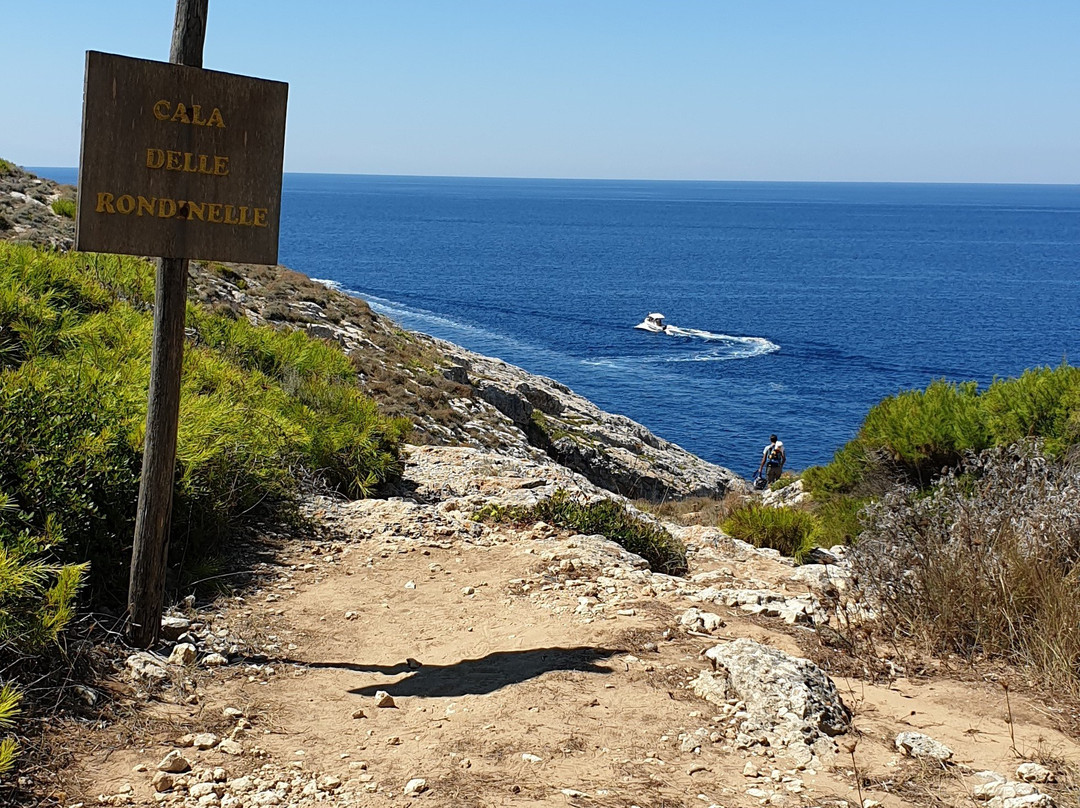 Grotta e Cala delle Rondinelle景点图片