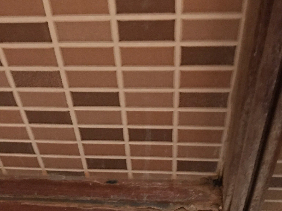 Mihran Hanim Konagi主图