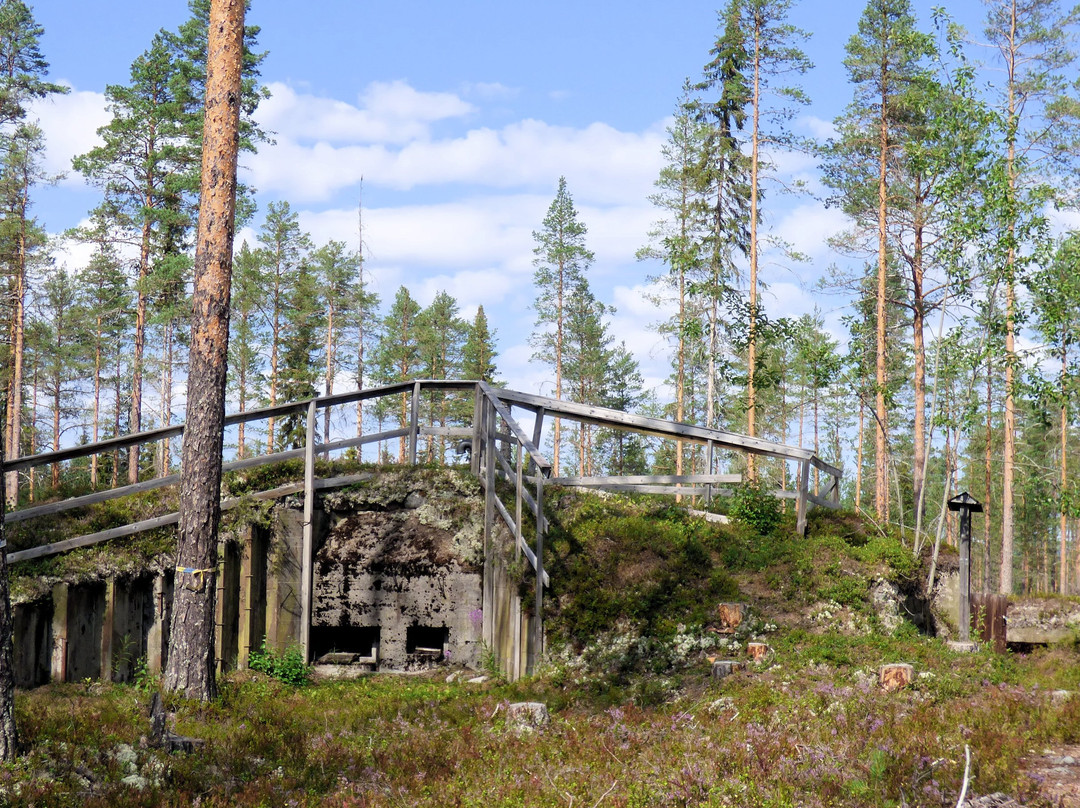 Lomkällan, Särna skogsmuseum景点图片