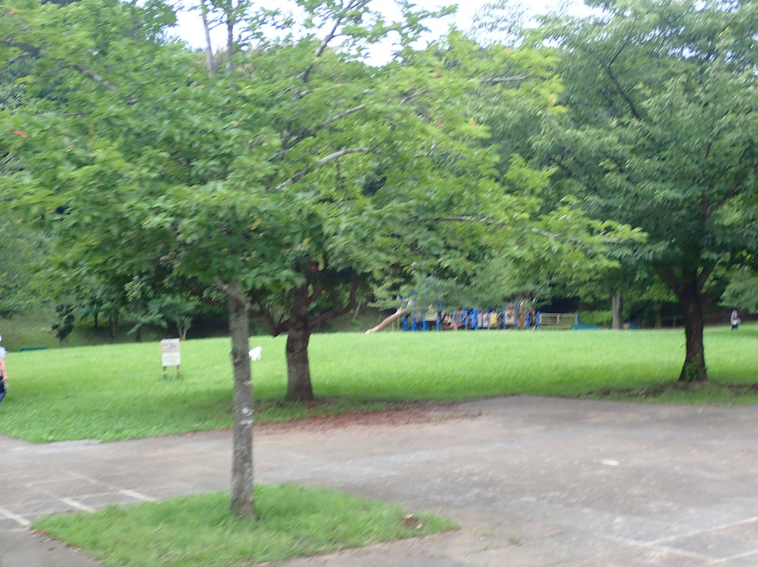 Daimaru Park-稻城市必去景点