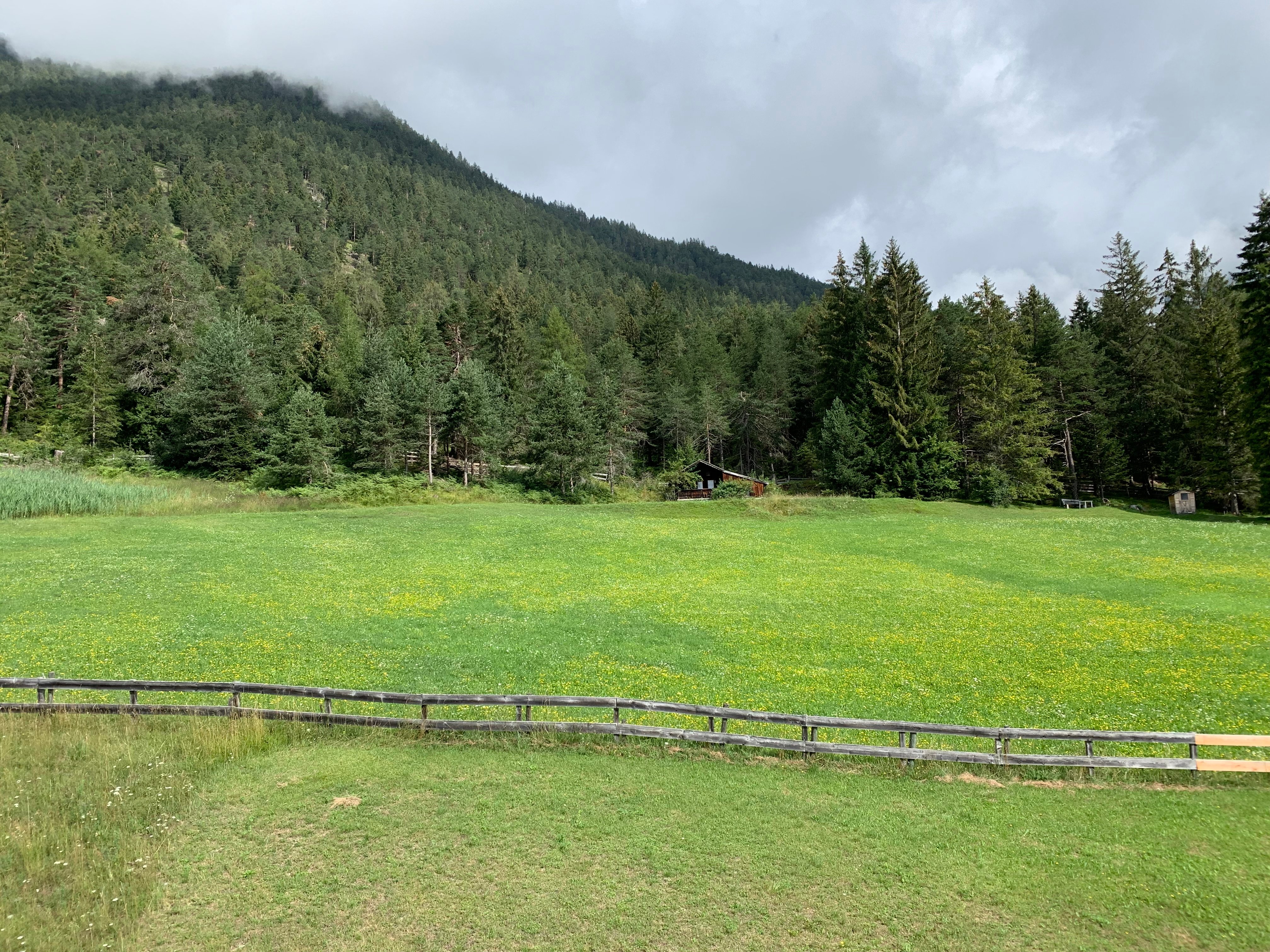 Alpenhotel Linserhof-酒店景观