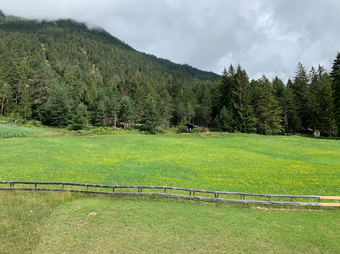 Alpenhotel Linserhof主图