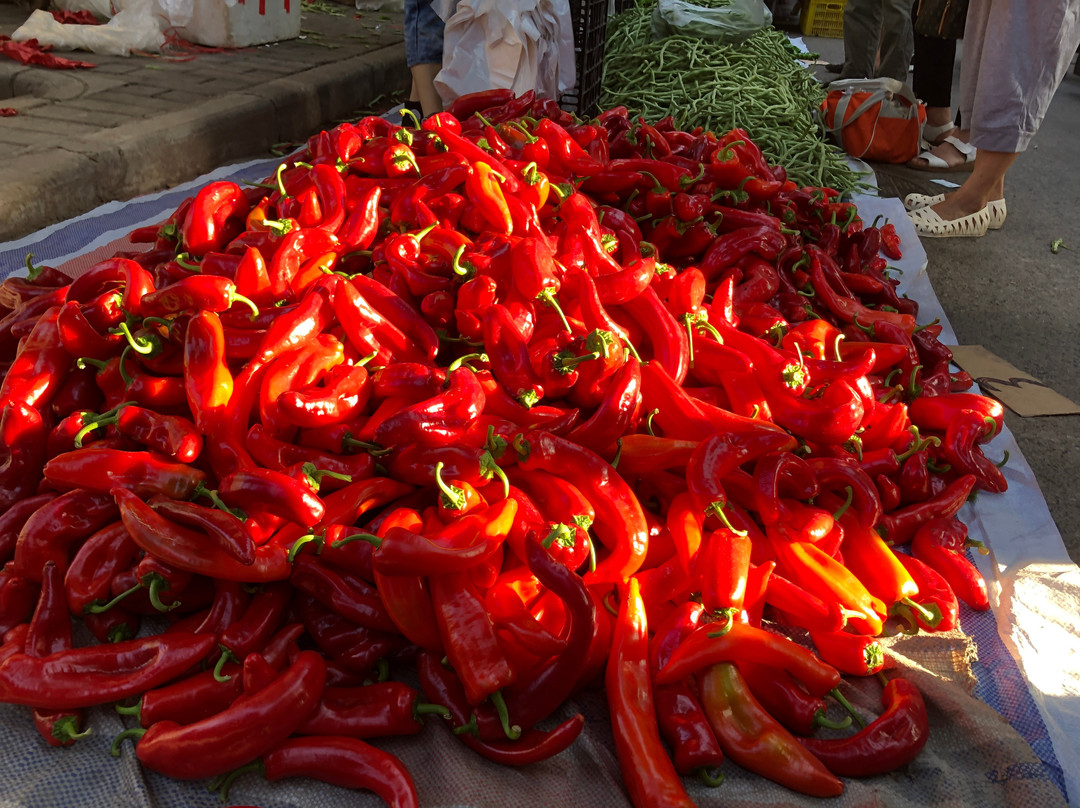 Chilli Cool China-西安市必去景点