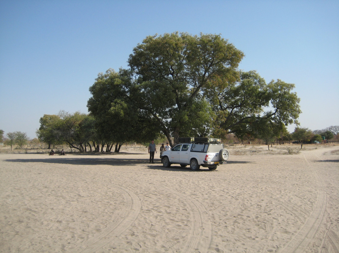 Ju/'Hoansi San Living Museum-Tsumkwe必去景点