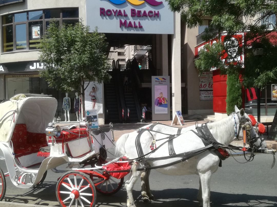 Royal Beach Mall-晴滩必去景点
