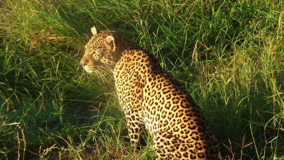 Sabi Sabi Selati Camp主图