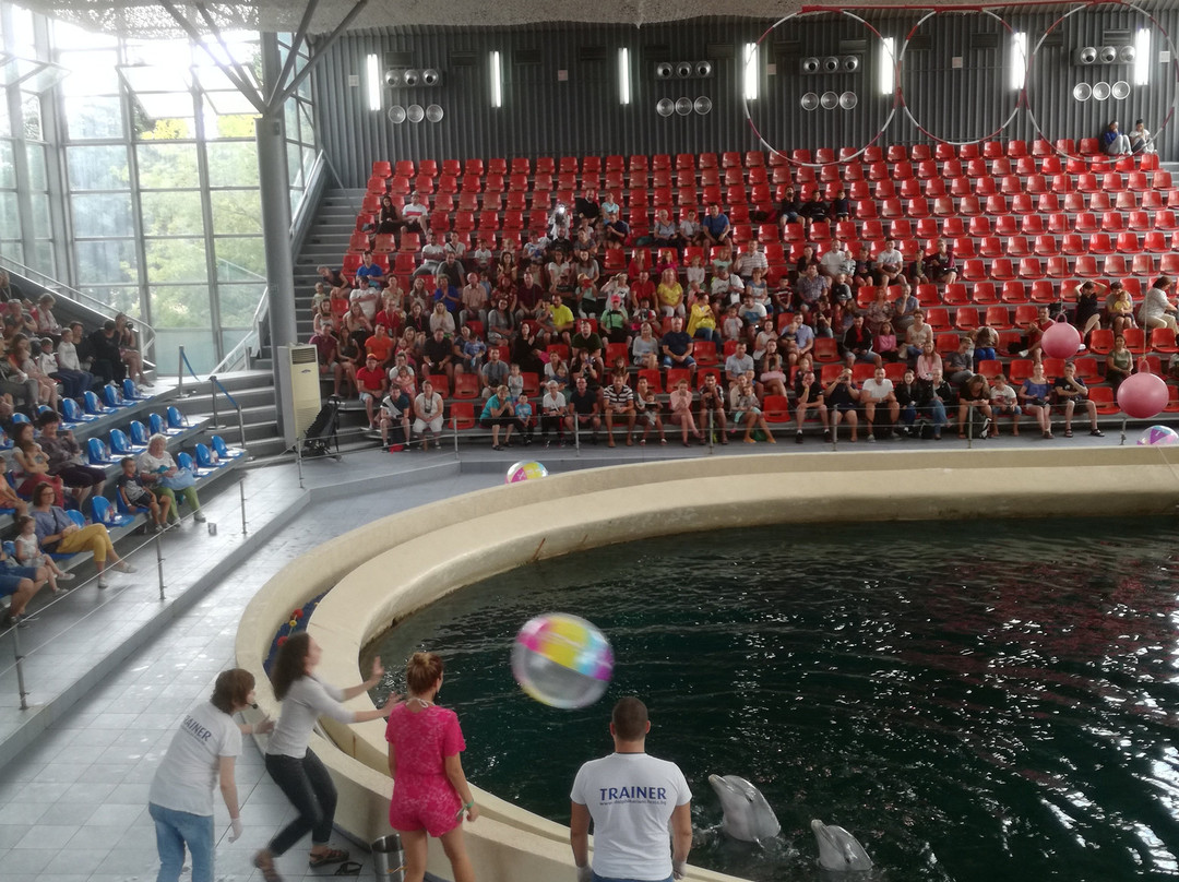 Dolphinarium-瓦尔纳必去景点