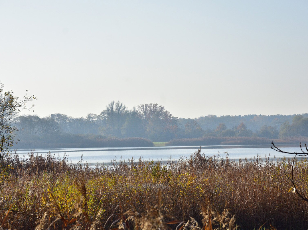 Storchenwanderweg Beetzsee景点图片