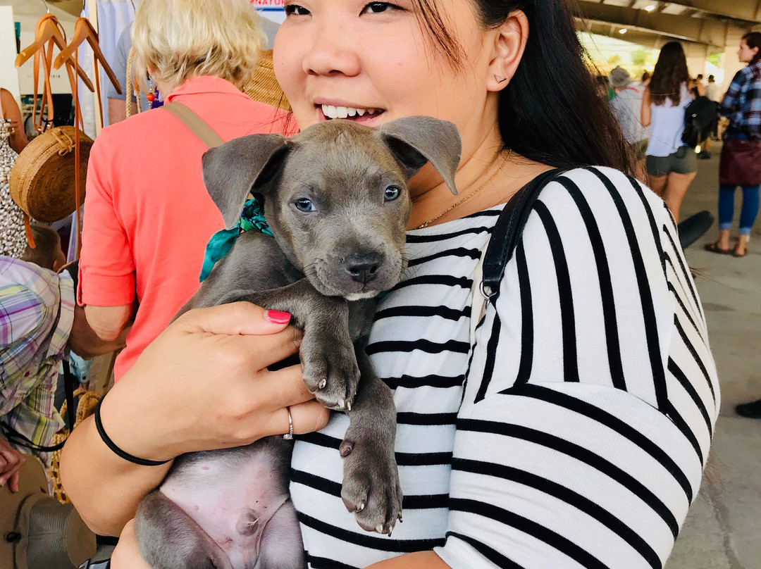 Aloha Home Market-科纳必去景点