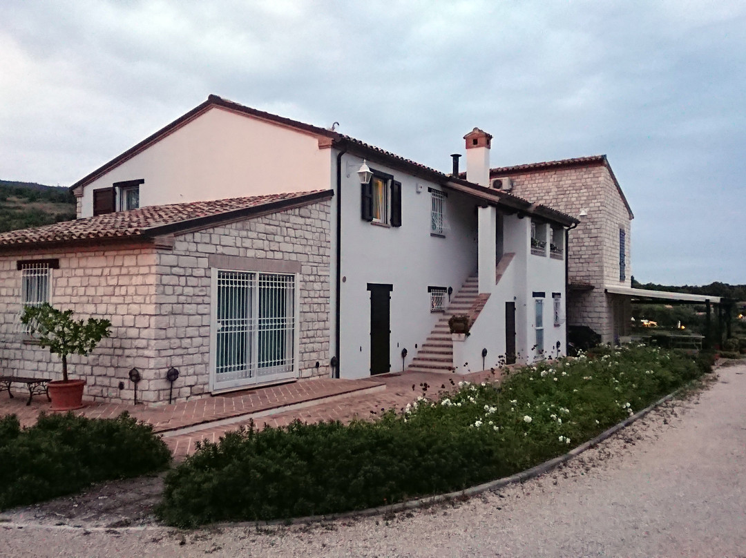 Alle Pendici del Conero主图