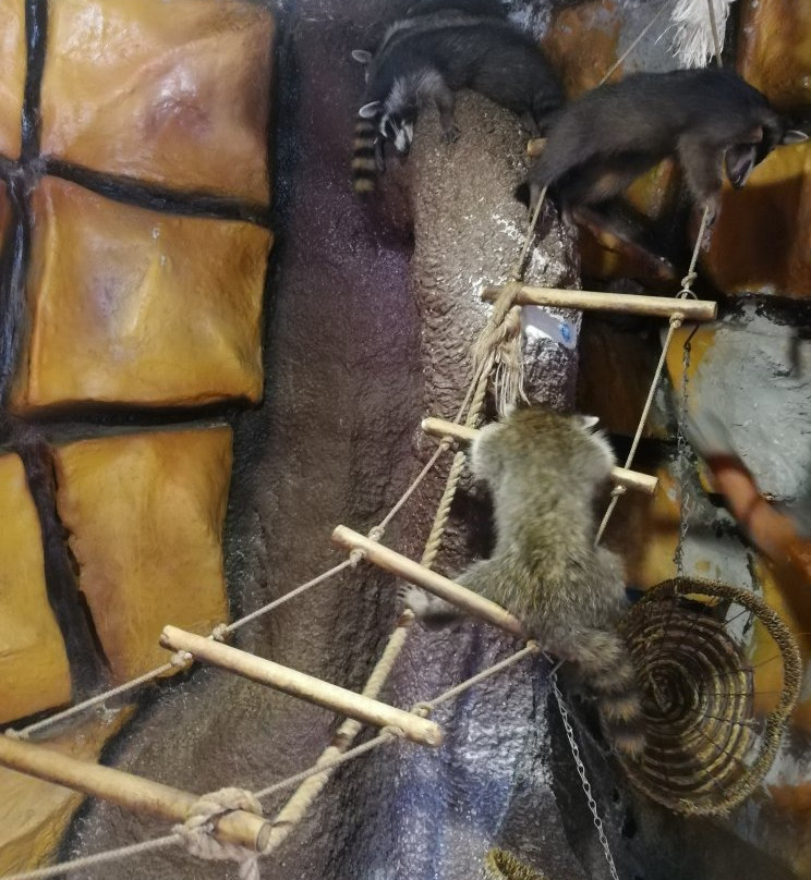 Crocodile Farm-苏达克必去景点