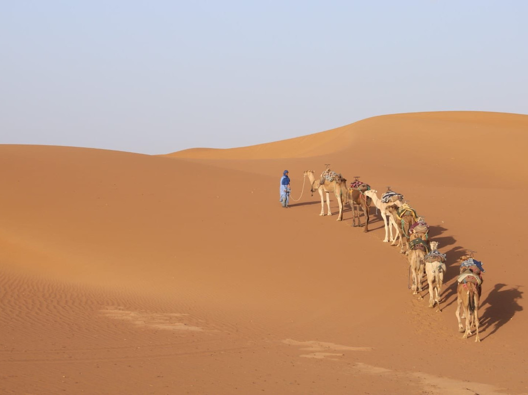 Desert Vie-马拉喀什必去景点