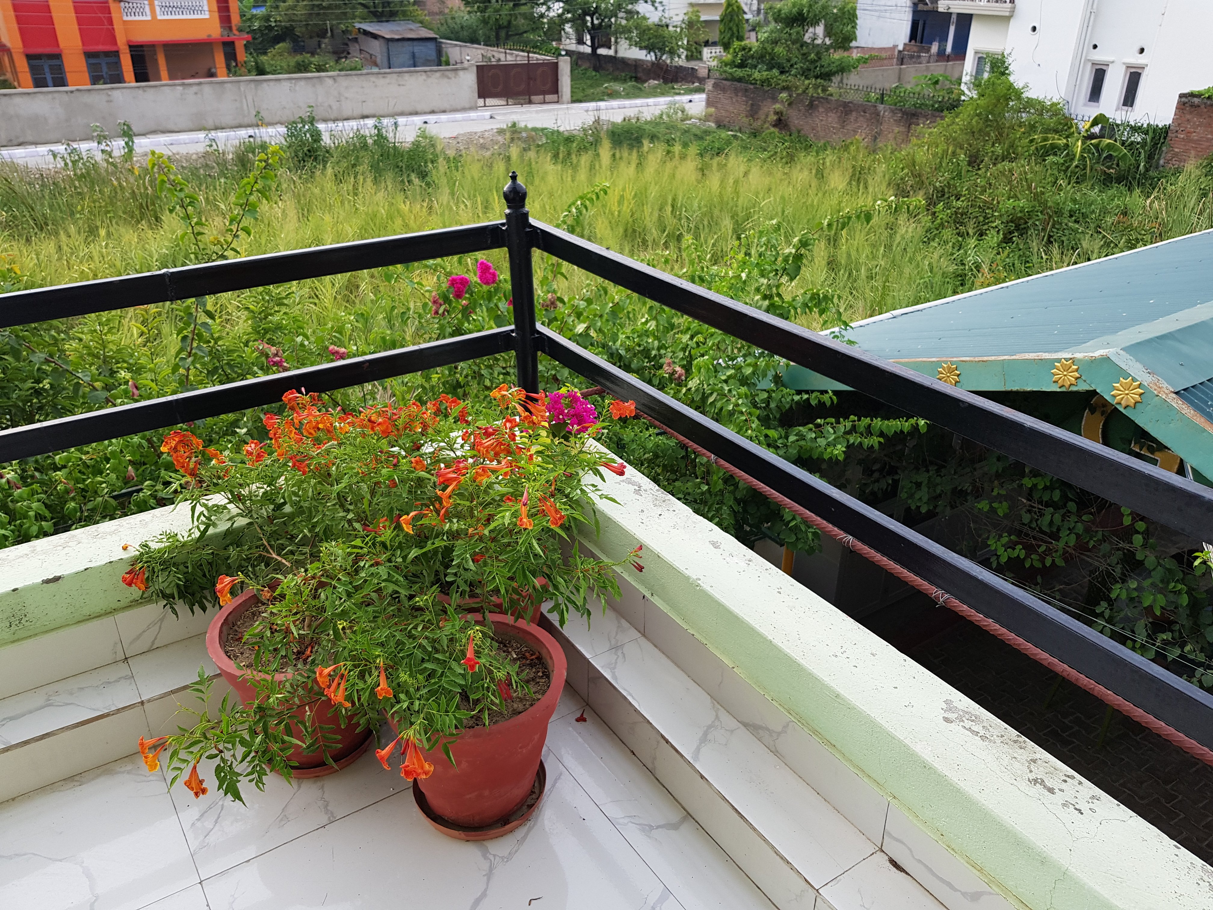 Galaxy Guest House-酒店景观