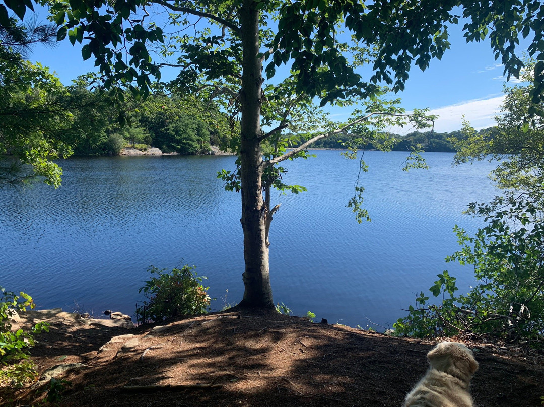 Wompatuck State Park景点图片