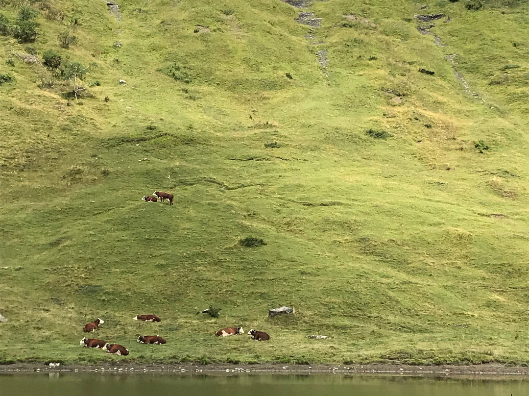 Lac de Joux Plane景点图片