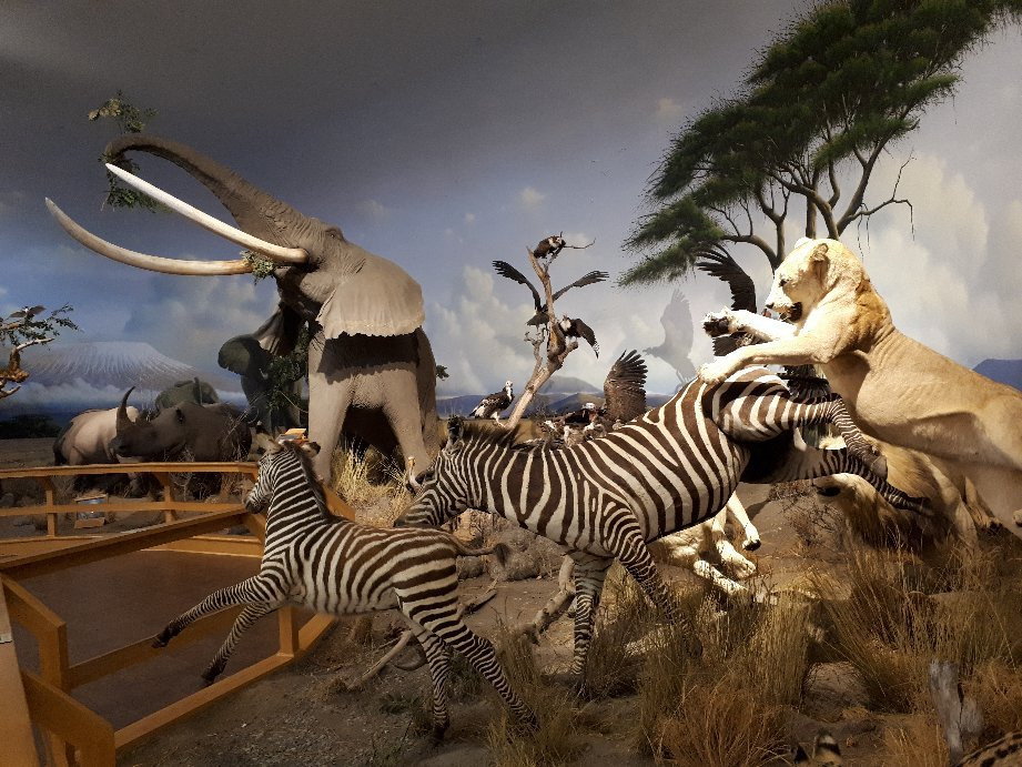 Cabela's-Owatonna必去景点