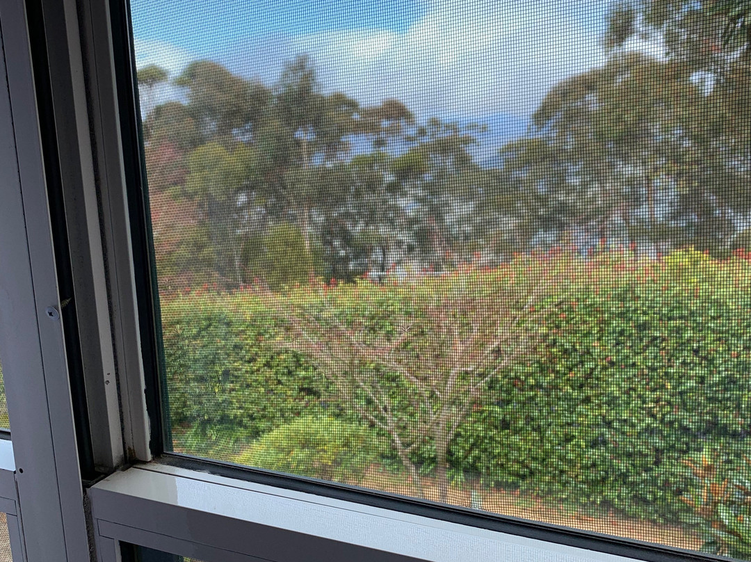 丽丽安菲尔斯度假酒店及水疗中心主图