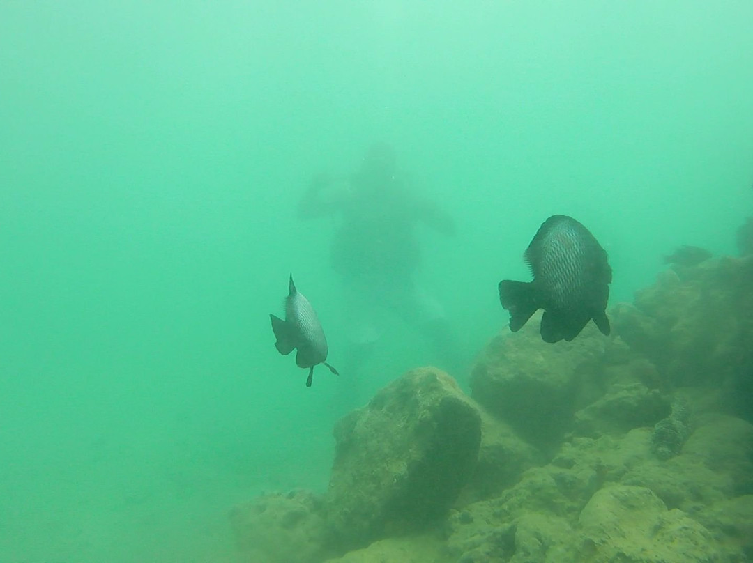 Try Scuba Diving-火奴鲁鲁必去景点