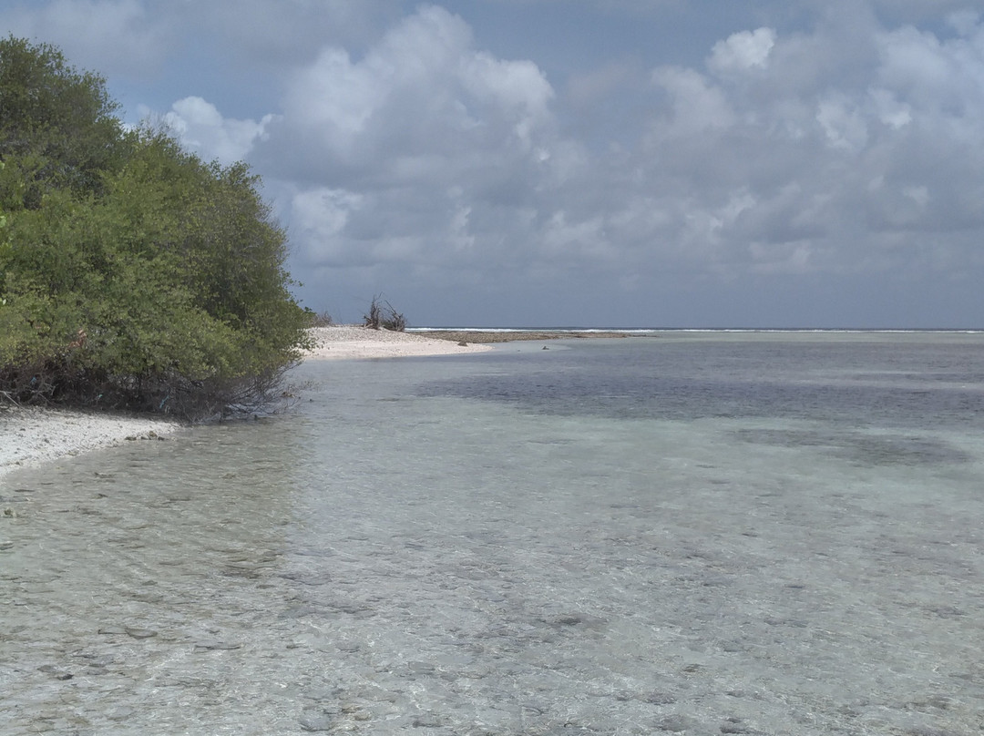 Equa Reef Maldives主图