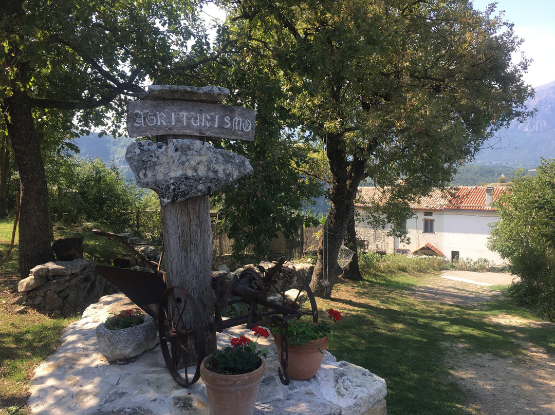 Agriturismo Pietrantica主图