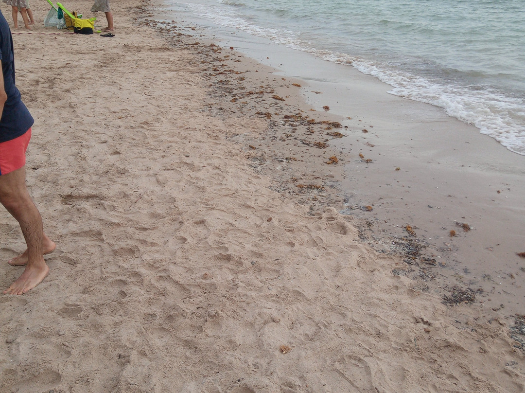 Spiaggia Mugoni-阿尔盖罗必去景点