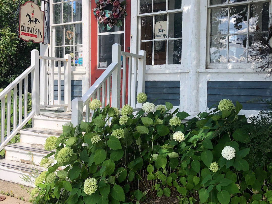 上校住宿加早餐酒店主图