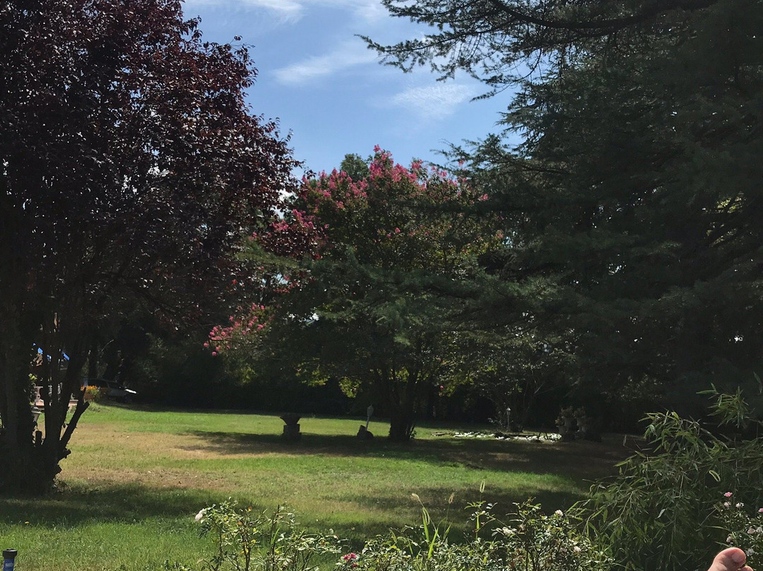 Hotel Torre Marti主图