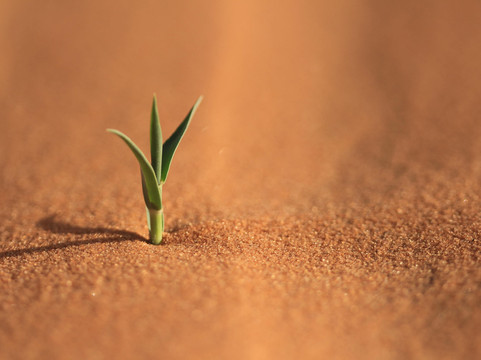 TIMBOO VOYAGE-Djanet必去景点