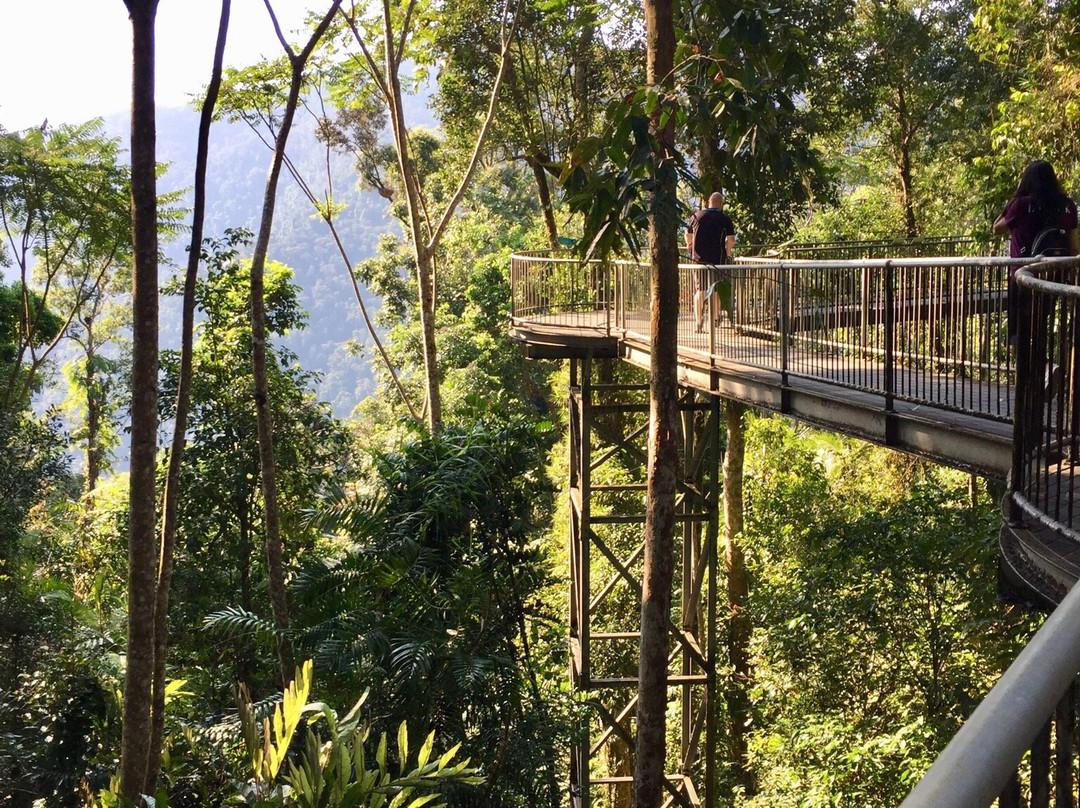 Global Travel Services-凯恩斯必去景点