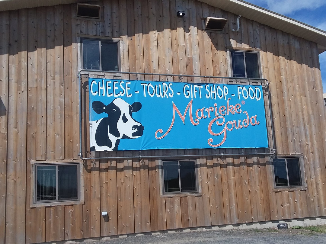 Marieke Gouda Holland's Family Cheese景点图片
